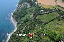 VILLA SEA VIEW WITH VINEYARD FOR SALE IN LE MARCHE