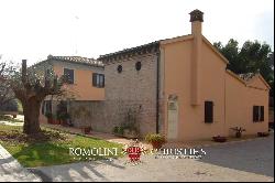 VILLA SEA VIEW WITH VINEYARD FOR SALE IN LE MARCHE