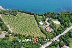 VILLA SEA VIEW WITH VINEYARD FOR SALE IN LE MARCHE