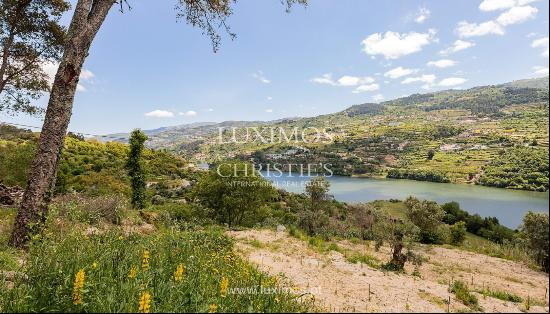 Quinta da Coelheira for sale in Baião, Douro Valley, Portugal