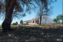 PROPERTY IN ALENTEJO - 10 MIN. FROM THE BEACH