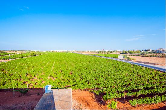 Marsaxlokk Farmhouse