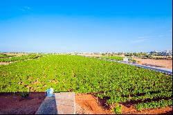 Marsaxlokk Farmhouse