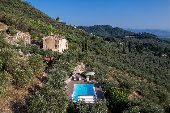 Period villa with two annexes and a swimming pool immersed in the Tuscan countryside