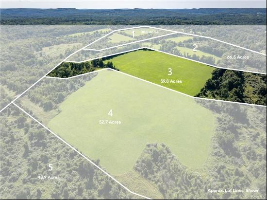 Your story begins here... Lot 3- 59.8 acres of vast flat fields-Welcome to Salem View Farm