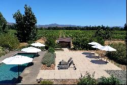 Legacy Napa Vineyard