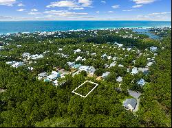 Generous Vacant Lot In Natural Surroundings Near 30A Amenities