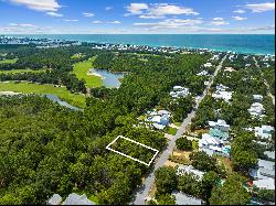 Generous Vacant Lot In Natural Surroundings Near 30A Amenities