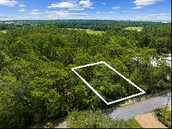 Generous Vacant Lot In Natural Surroundings Near 30A Amenities