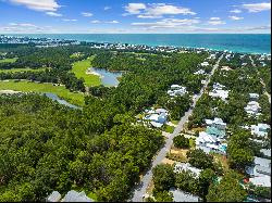 Generous Vacant Lot In Natural Surroundings Near 30A Amenities