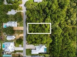 Generous Vacant Lot In Natural Surroundings Near 30A Amenities