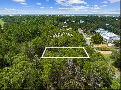 Generous Vacant Lot In Natural Surroundings Near 30A Amenities