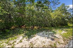 Generous Vacant Lot In Natural Surroundings Near 30A Amenities