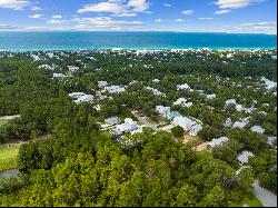 Spacious Seacrest Lot Close To Nature And 30A Attractions