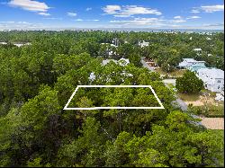 Spacious Seacrest Lot Close To Nature And 30A Attractions