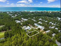 Spacious Seacrest Lot Close To Nature And 30A Attractions