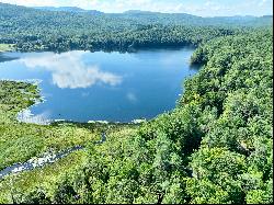 Ten Acres on Post Pond with Cottage