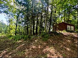 Ten Acres on Post Pond with Cottage