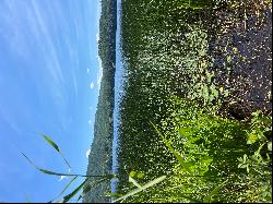 Ten Acres on Post Pond with Cottage