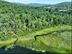 Ten Acres on Post Pond with Cottage