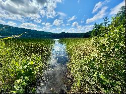 Ten Acres on Post Pond with Cottage