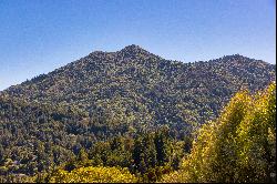 Spectacular Mount Tamalpais Views