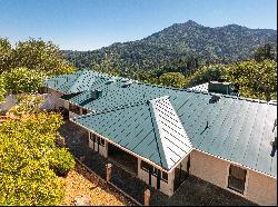 Spectacular Mount Tamalpais Views