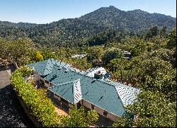 Spectacular Mount Tamalpais Views