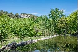 Lourmarin very beautiful renovated old property at the foot of the Luberon on 1.4 hectares