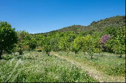 Lourmarin very beautiful renovated old property at the foot of the Luberon on 1.4 hectares