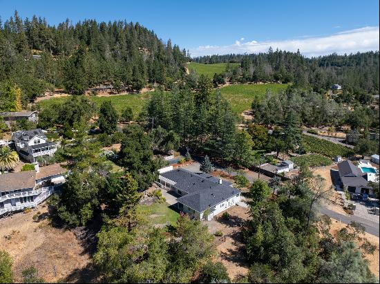 540 Linda Falls Ter Angwin