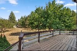 Home on Acreage in Town