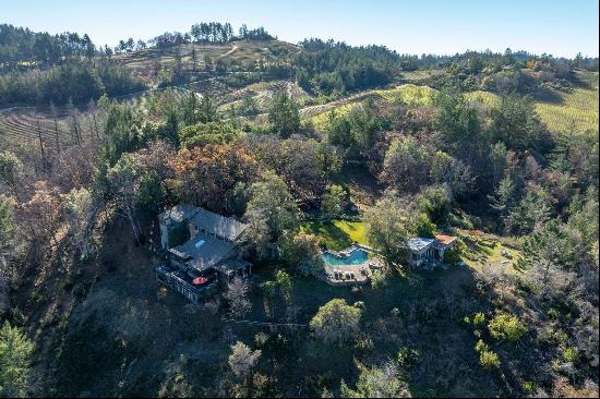 Classic Wine Maker's Napa Valley Villa