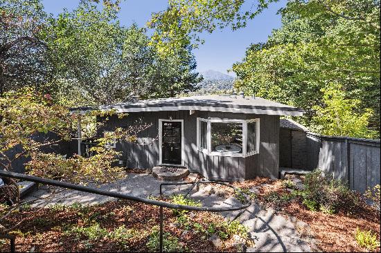 Move-in Ready Mill Valley Home