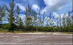 Lot 2D, Munnings Road - MLS 59339