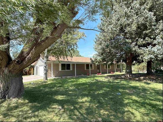 17085 Pioneer Road, Montrose CO 81403