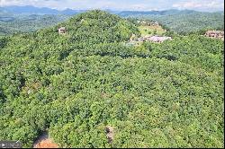 0 Forest Canopy Way #LOT 3, Clayton GA 30525