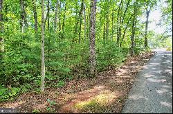 0 Forest Canopy Way #LOT 3, Clayton GA 30525