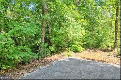 0 Forest Canopy Way #LOT 3, Clayton GA 30525