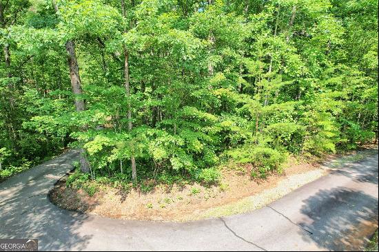 Forest Canopy Way Lot 3, Clayton GA 30525