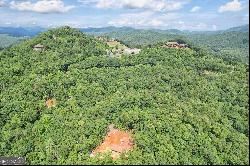 0 Forest Canopy Way #LOT 3, Clayton GA 30525