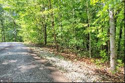 0 Forest Canopy Way #LOT 3, Clayton GA 30525