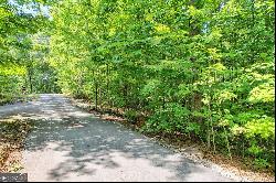 0 Forest Canopy Way #LOT 3, Clayton GA 30525