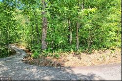 0 Forest Canopy Way #LOT 3, Clayton GA 30525