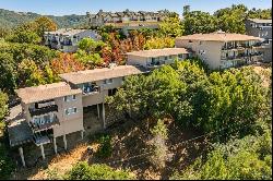 255 Channing Way, San Rafael CA 94903