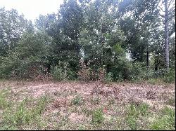 0 SW 28th Lane, Ocala FL 34481