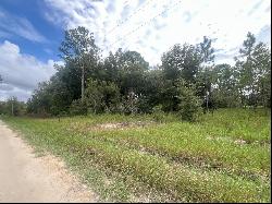 0 SW 28th Lane, Ocala FL 34481