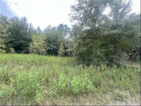 0 SW 28th Lane, Ocala FL 34481