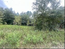 0 SW 28th Lane, Ocala FL 34481