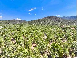 Tract 3 Verde Road, Taos NM 87571